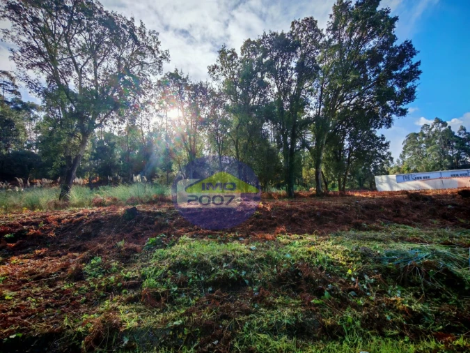 Terreno Agricola ou Rústico para Venda em Anta e Guetim Foto 4