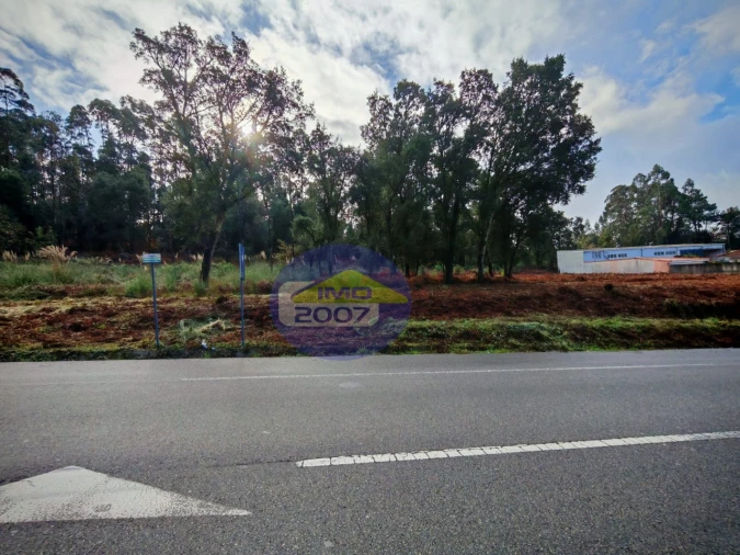 Terreno Agricola ou Rústico para Venda em Anta e Guetim Foto 7