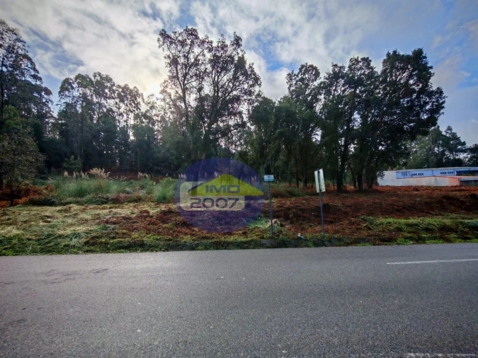 Terreno Agricola ou Rústico para Venda em Anta e Guetim Foto 8