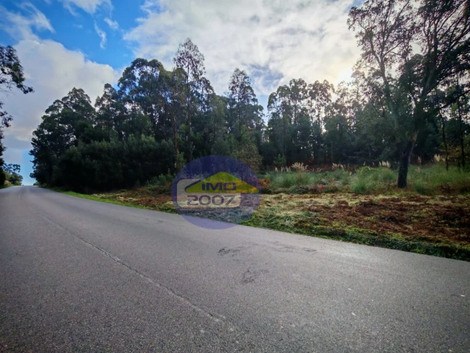 Terreno Agricola ou Rústico para Venda em Anta e Guetim