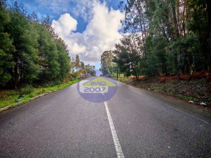 Terreno Agricola ou Rústico para Venda em Anta e Guetim Foto 11
