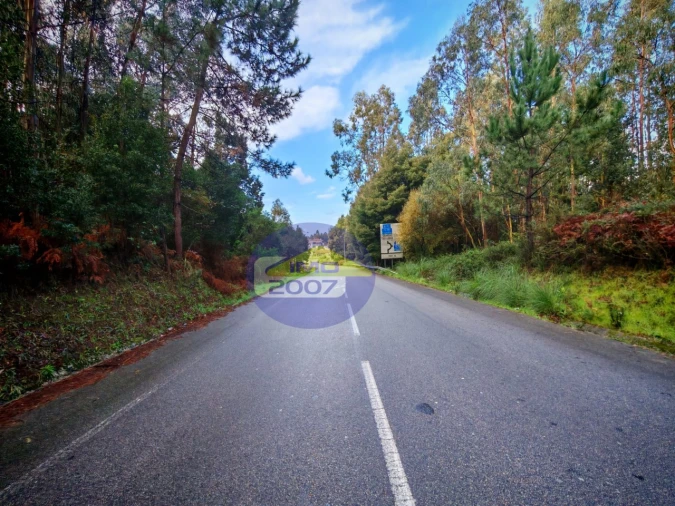 Terreno Agricola ou Rústico para Venda em Anta e Guetim Foto 15