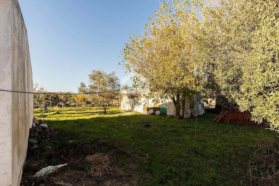 Terreno para Venda em Canaviais Foto 14