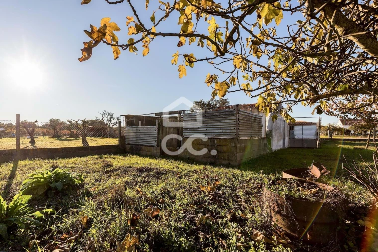 Terreno para Venda em Canaviais Foto 13