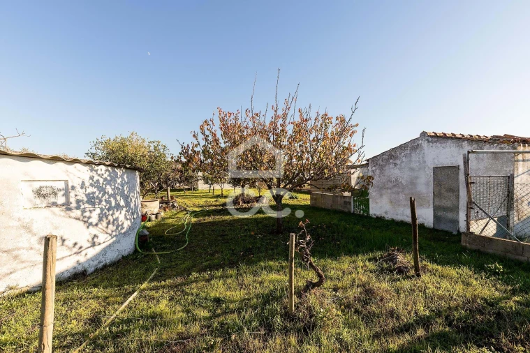 Terreno para Venda em Canaviais Foto 19