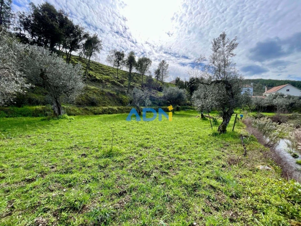 Moradia T3 para Venda em São Vicente da Beira Foto 25