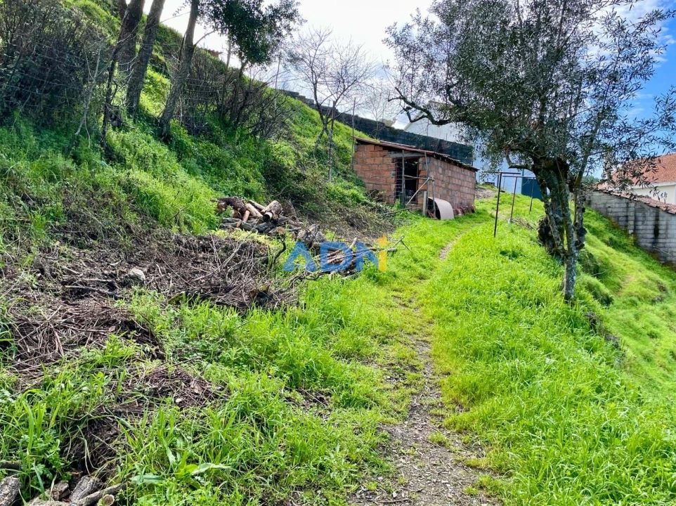 Moradia T3 para Venda em São Vicente da Beira Foto 31