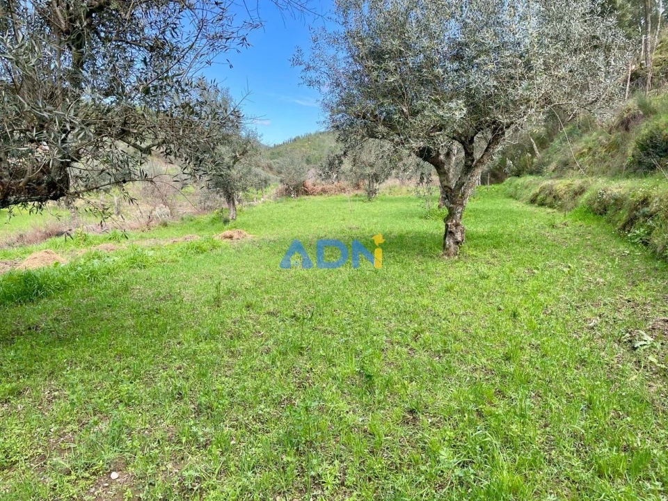 Moradia T3 para Venda em São Vicente da Beira Foto 26