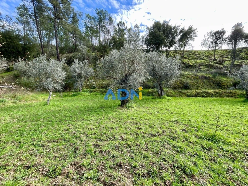 Moradia T3 para Venda em São Vicente da Beira Foto 27