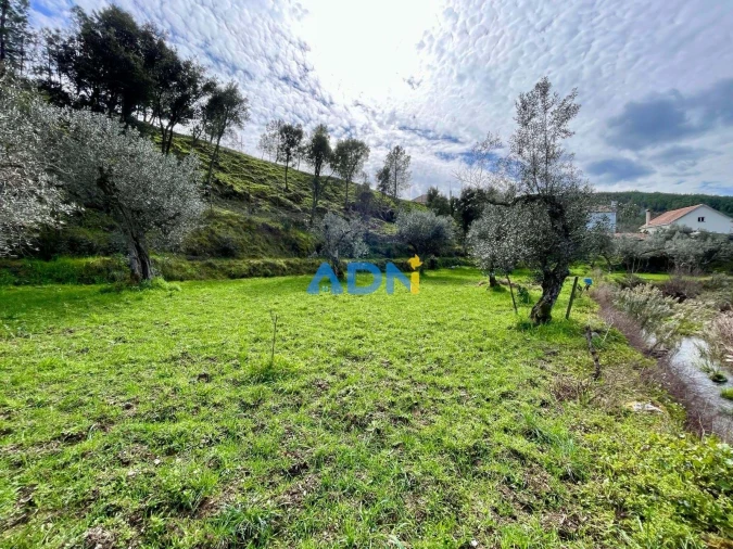 Moradia T3 para Venda em São Vicente da Beira Foto 25