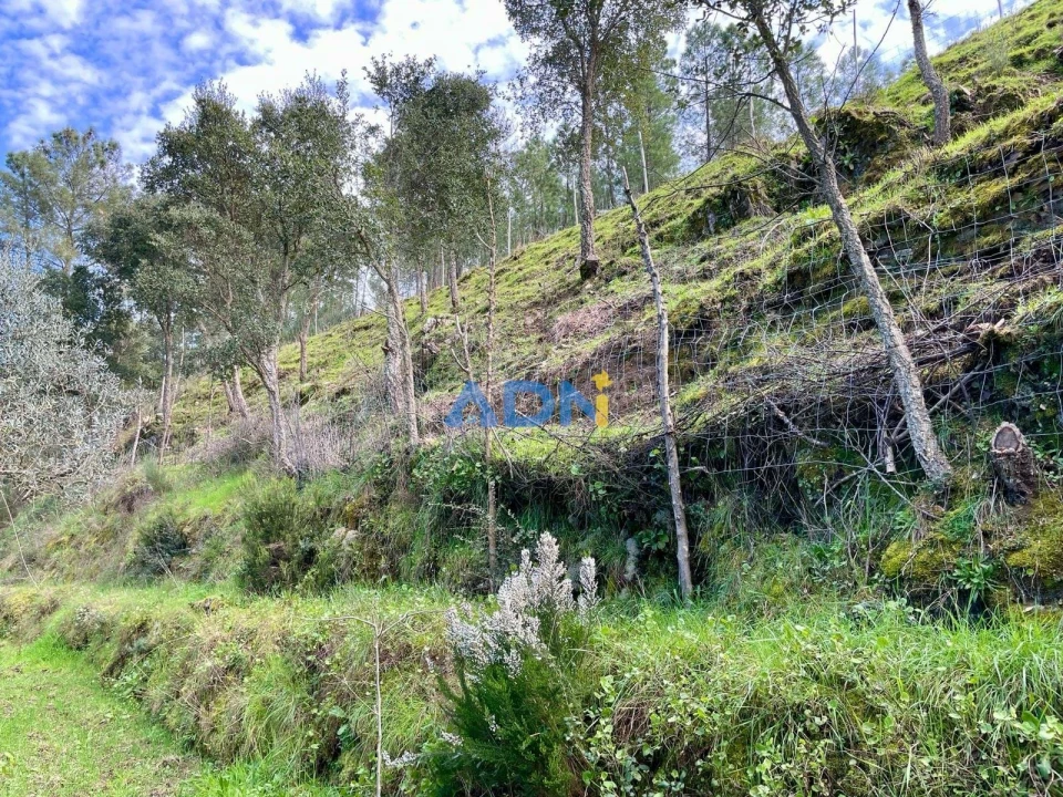 Moradia T3 para Venda em São Vicente da Beira Foto 30