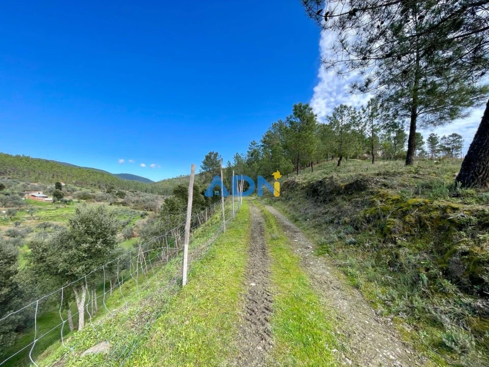 Moradia T3 para Venda em São Vicente da Beira Foto 33