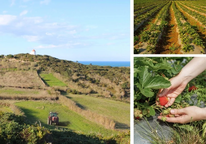 Moradia T3 para Venda em São Martinho do Porto Foto 17