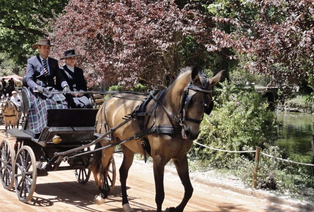 Moradia T3 para Venda em Caldas da Rainha - Santo Onofre e Serra do Bouro Foto 18