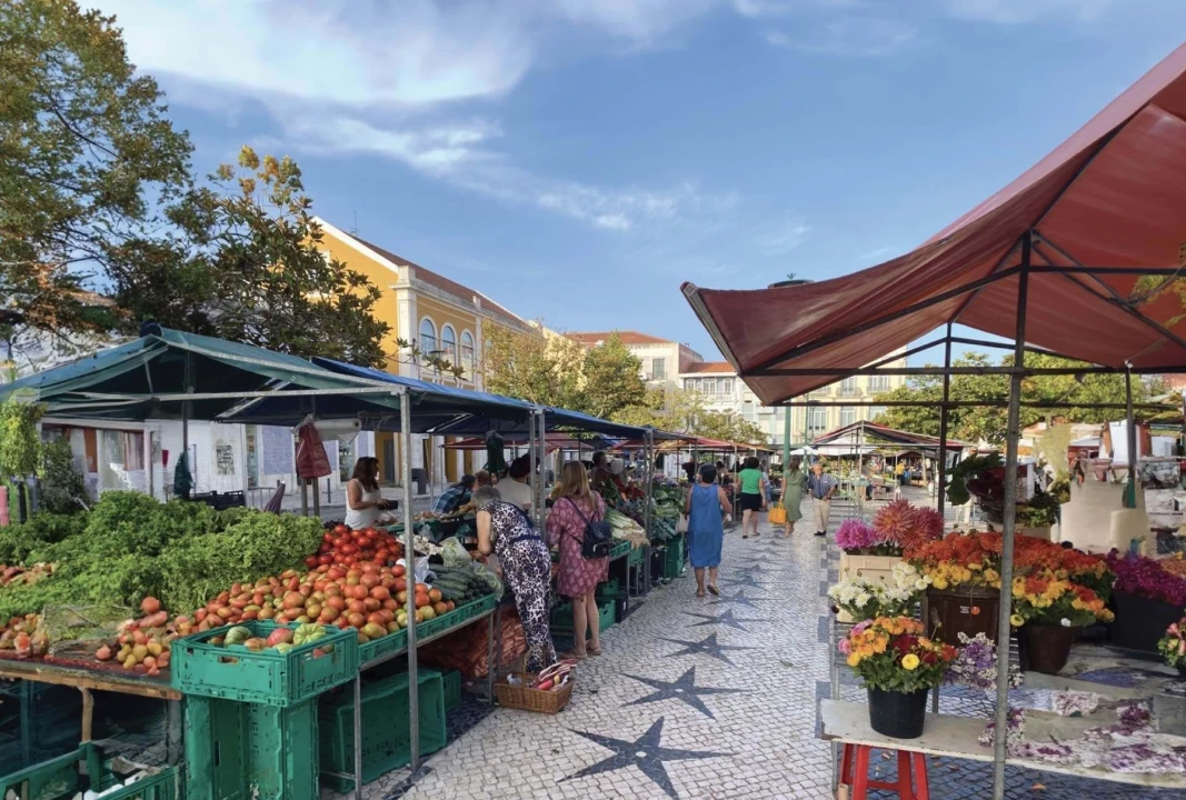 Moradia T3 para Venda em Caldas da Rainha - Santo Onofre e Serra do Bouro Foto 12