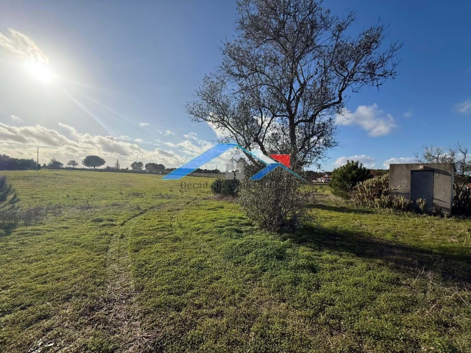 Terreno para Venda em Branca Foto 4