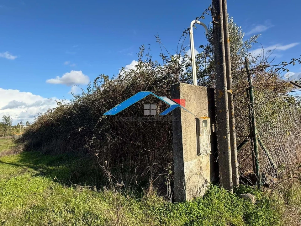 Terreno para Venda em Branca Foto 7
