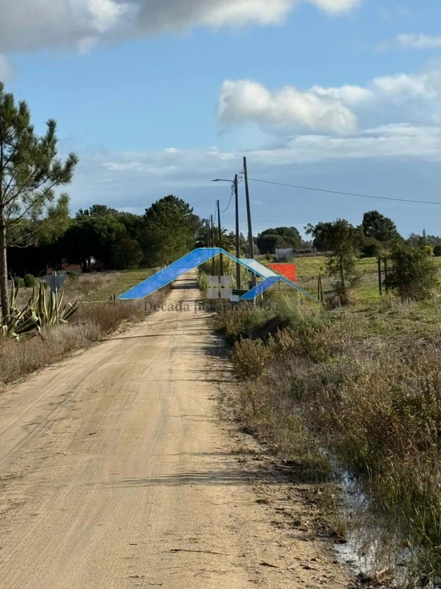 Terreno para Venda em Branca Foto 2
