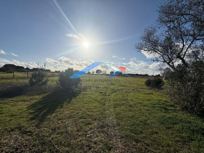 Terreno para Venda em Branca Foto 6