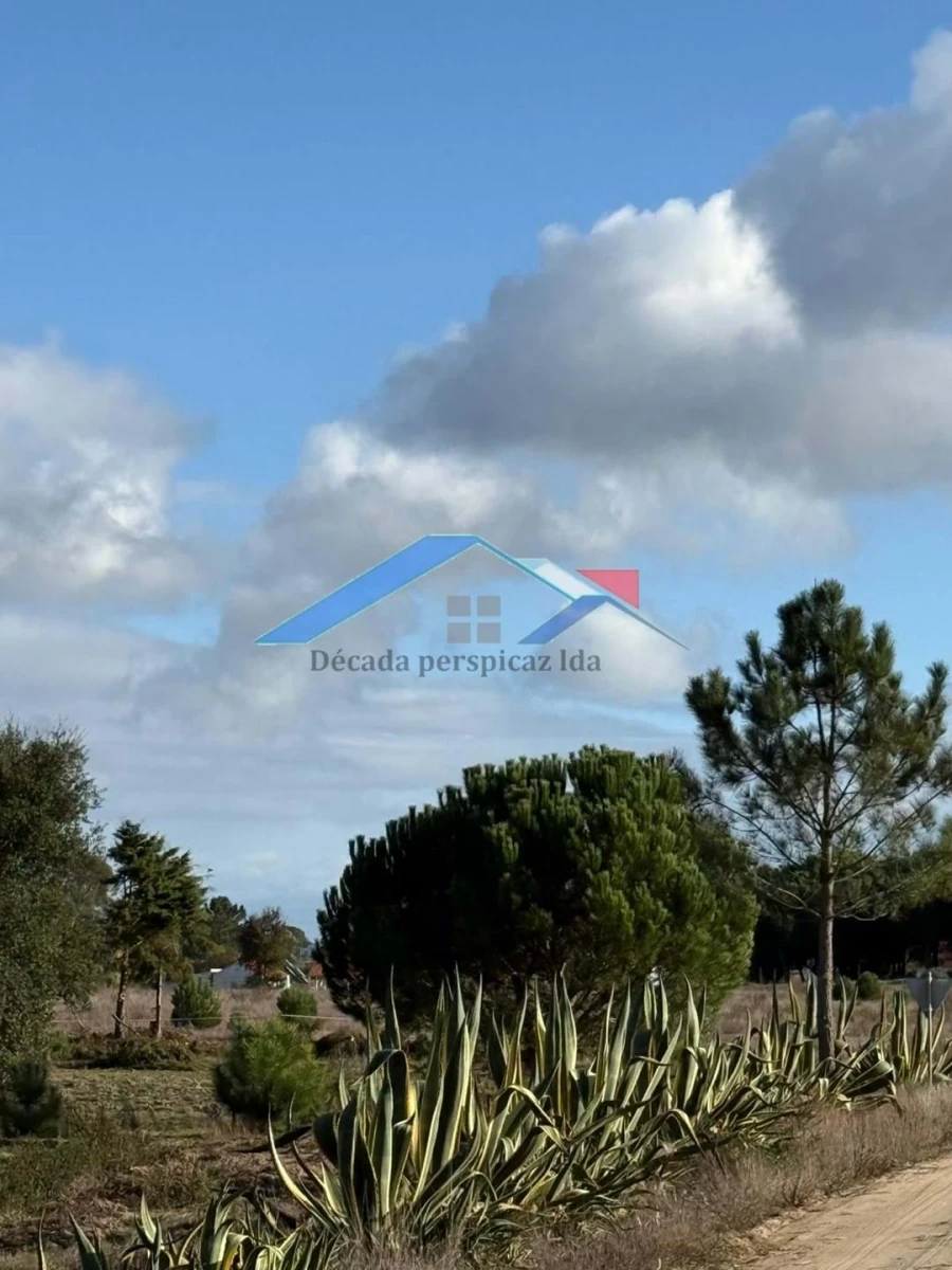 Terreno para Venda em Branca Foto 9