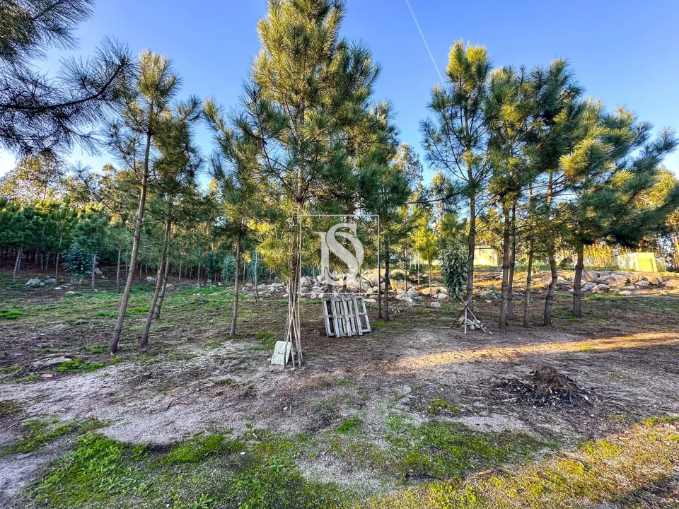 Terreno para Venda em Barcelos, V.Boa, V.Frescainha Foto 6