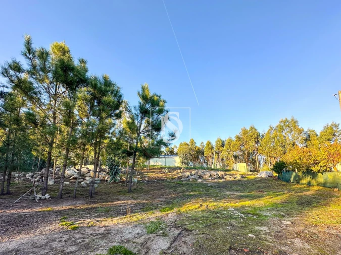 Terreno para Venda em Barcelos, V.Boa, V.Frescainha Foto 1