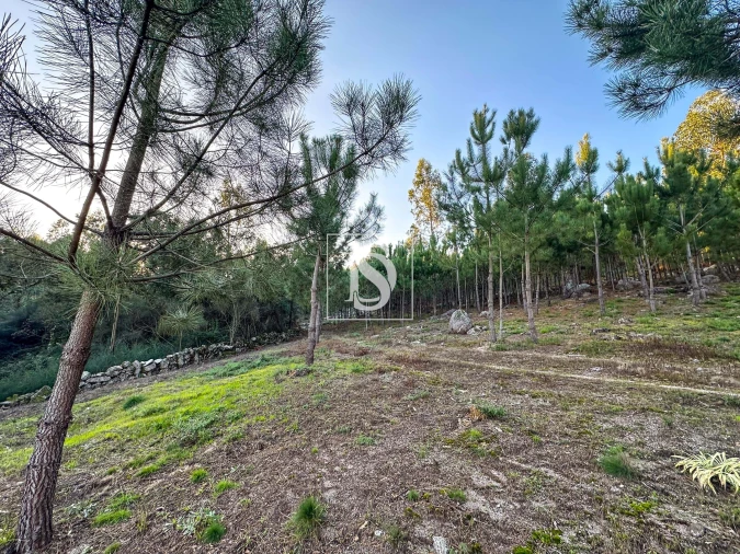 Terreno para Venda em Barcelos, V.Boa, V.Frescainha Foto 2