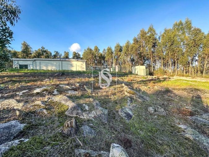 Terreno para Venda em Barcelos, V.Boa, V.Frescainha Foto 3