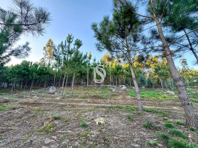 Terreno para Venda em Barcelos, V.Boa, V.Frescainha Foto 7