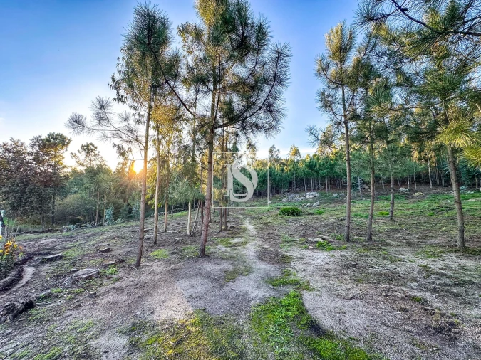 Terreno para Venda em Barcelos, V.Boa, V.Frescainha Foto 5