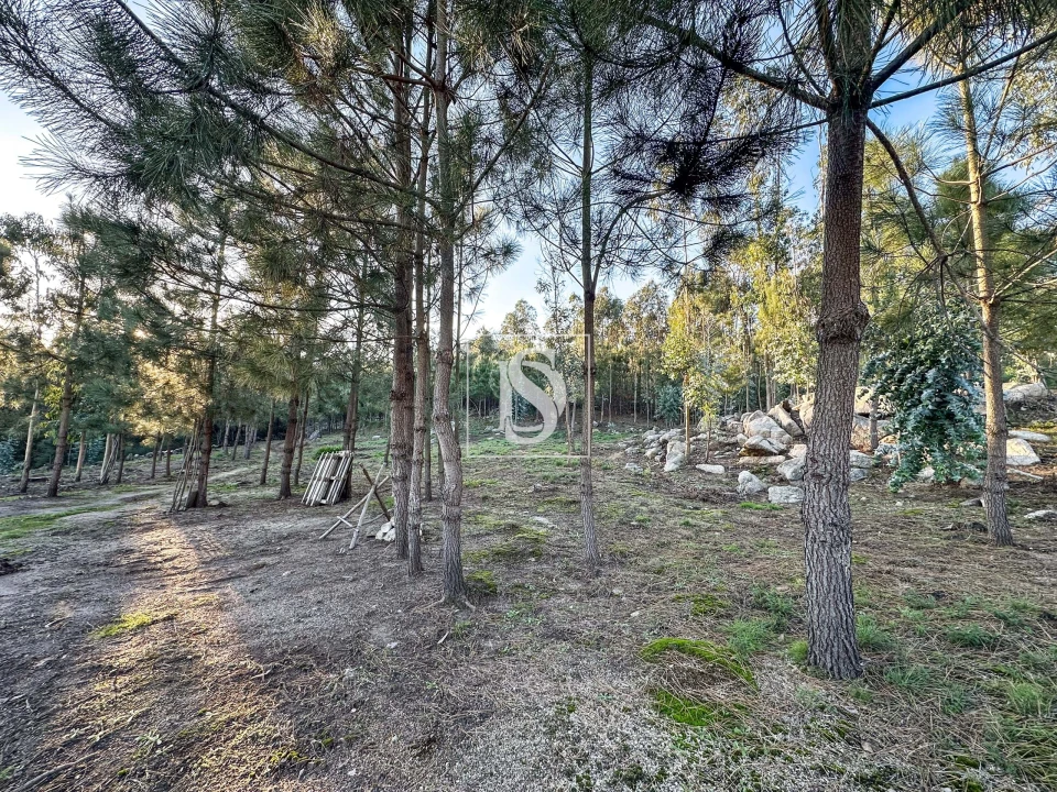 Terreno para Venda em Barcelos, V.Boa, V.Frescainha Foto 4