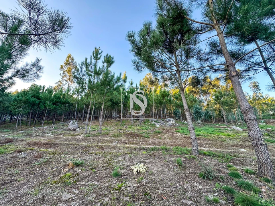 Terreno para Venda em Barcelos, V.Boa, V.Frescainha Foto 7