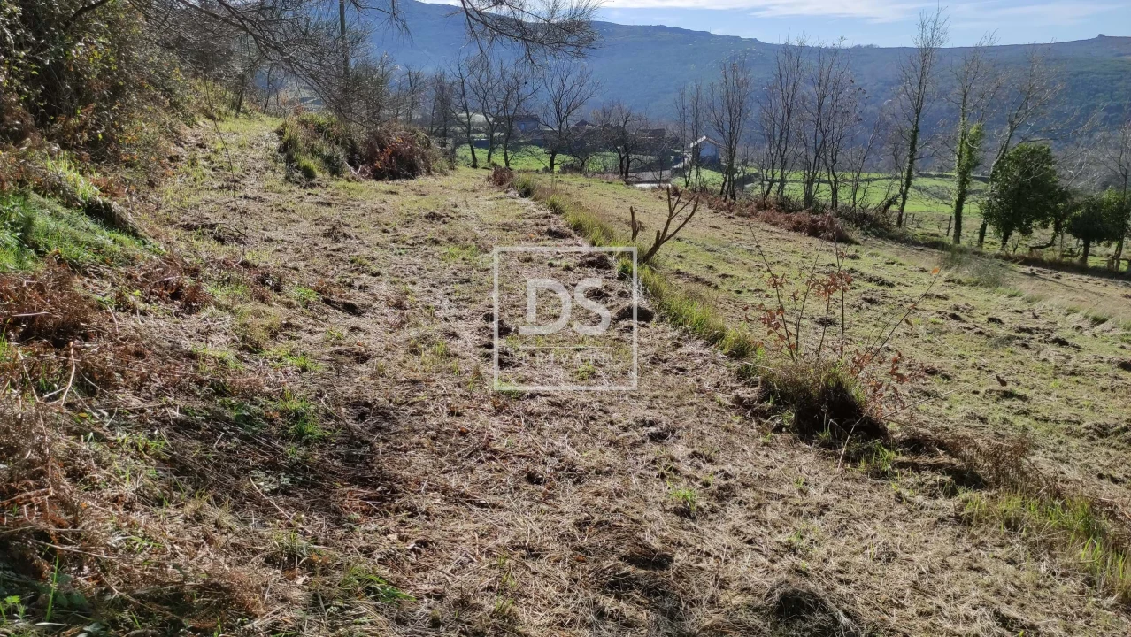 Terreno para Venda em Gouveia (São Simão) Foto 10