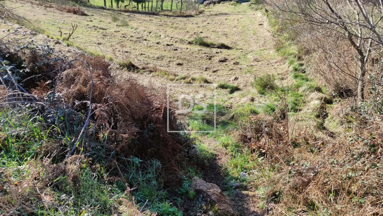 Terreno para Venda em Gouveia (São Simão) Foto 11