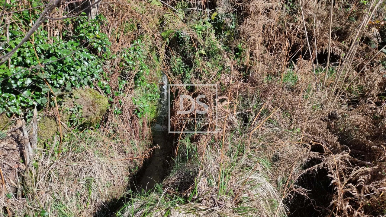 Terreno para Venda em Gouveia (São Simão) Foto 9