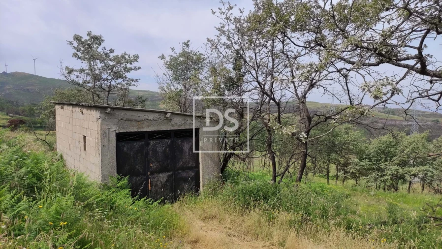 Terreno para Venda em Gouveia (São Simão) Foto 13