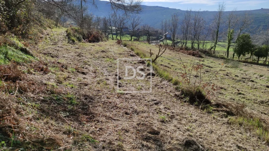 Terreno para Venda em Gouveia (São Simão) Foto 10