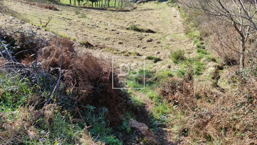 Terreno para Venda em Gouveia (São Simão) Foto 11