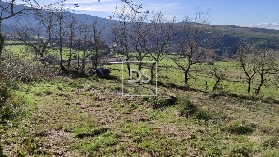 Terreno para Venda em Gouveia (São Simão) Foto 7