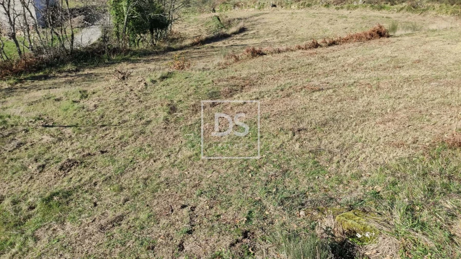 Terreno para Venda em Gouveia (São Simão) Foto 4