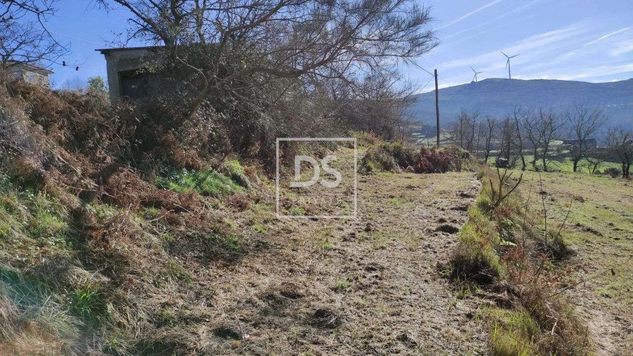 Terreno para Venda em Gouveia (São Simão) Foto 8