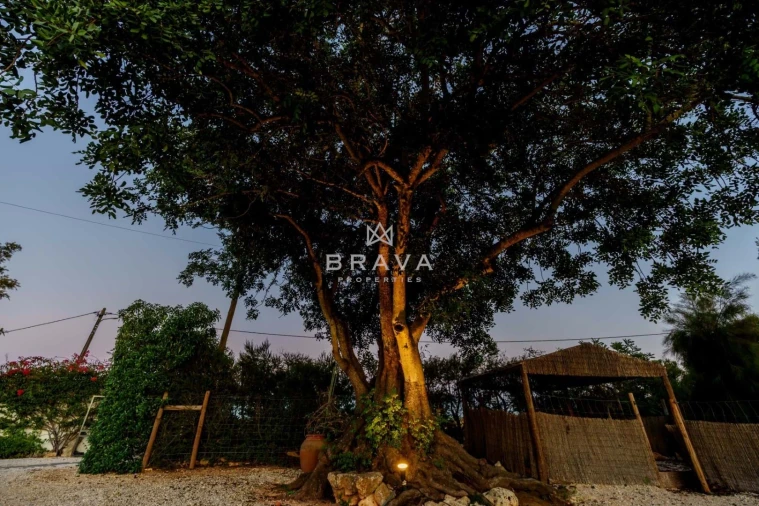 Moradia T5 para Venda em Estômbar e Parchal Foto 59