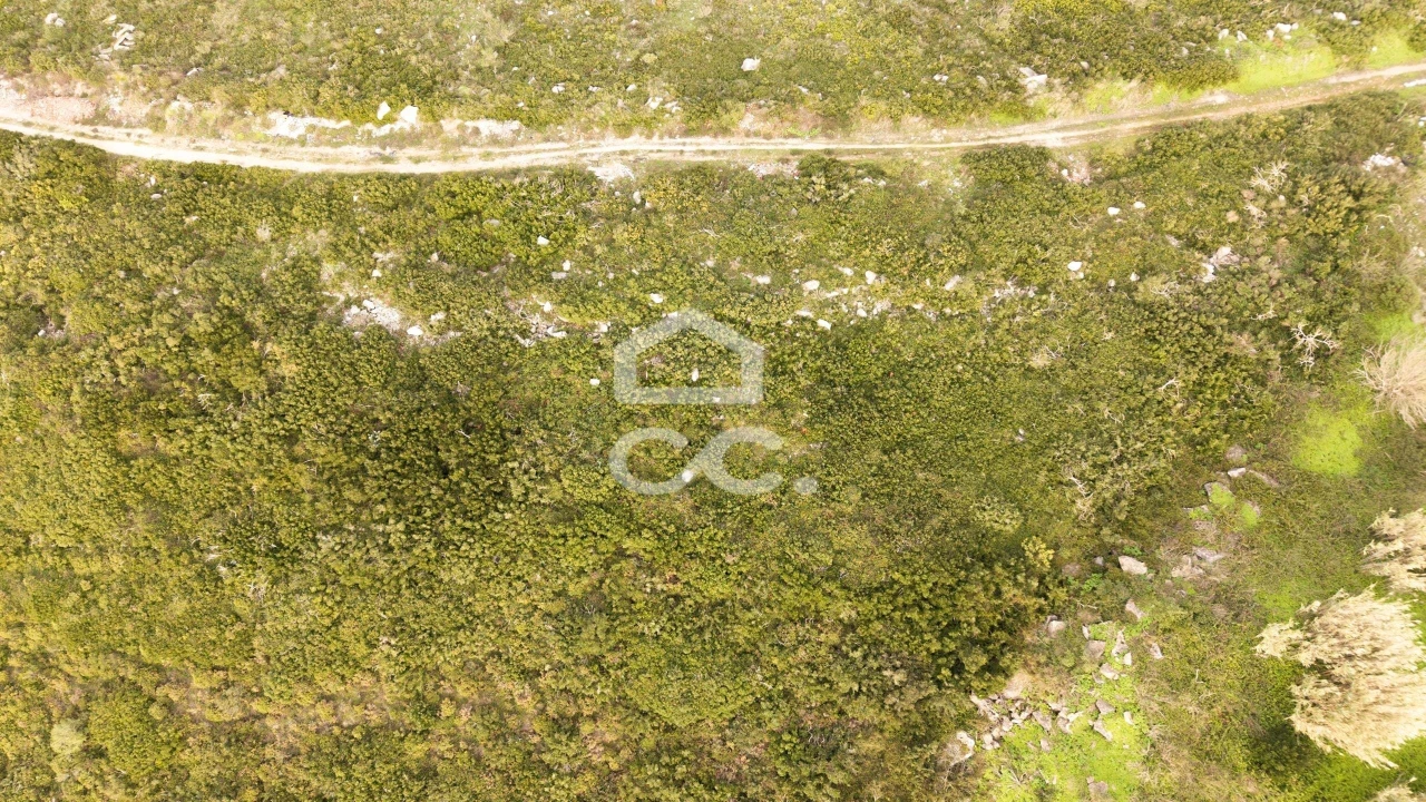 Terreno para Venda em São Domingos de Rana Foto 3