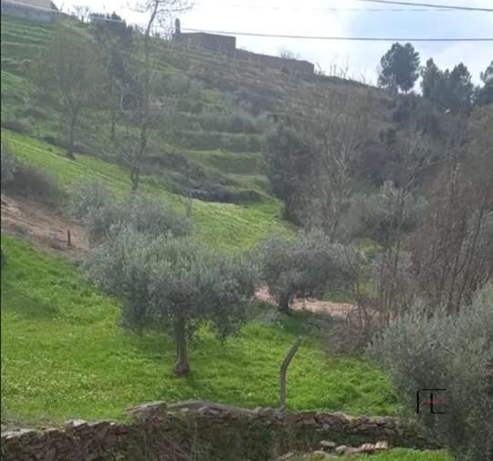 Moradia T4 para Venda em Murça Foto 11