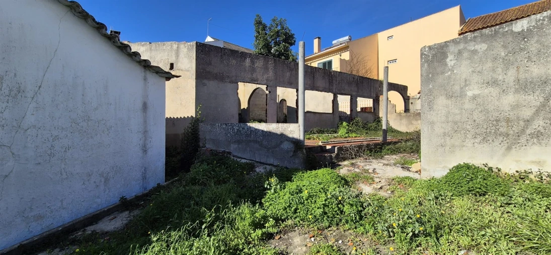 Terreno para Venda em Vermelha Foto 9