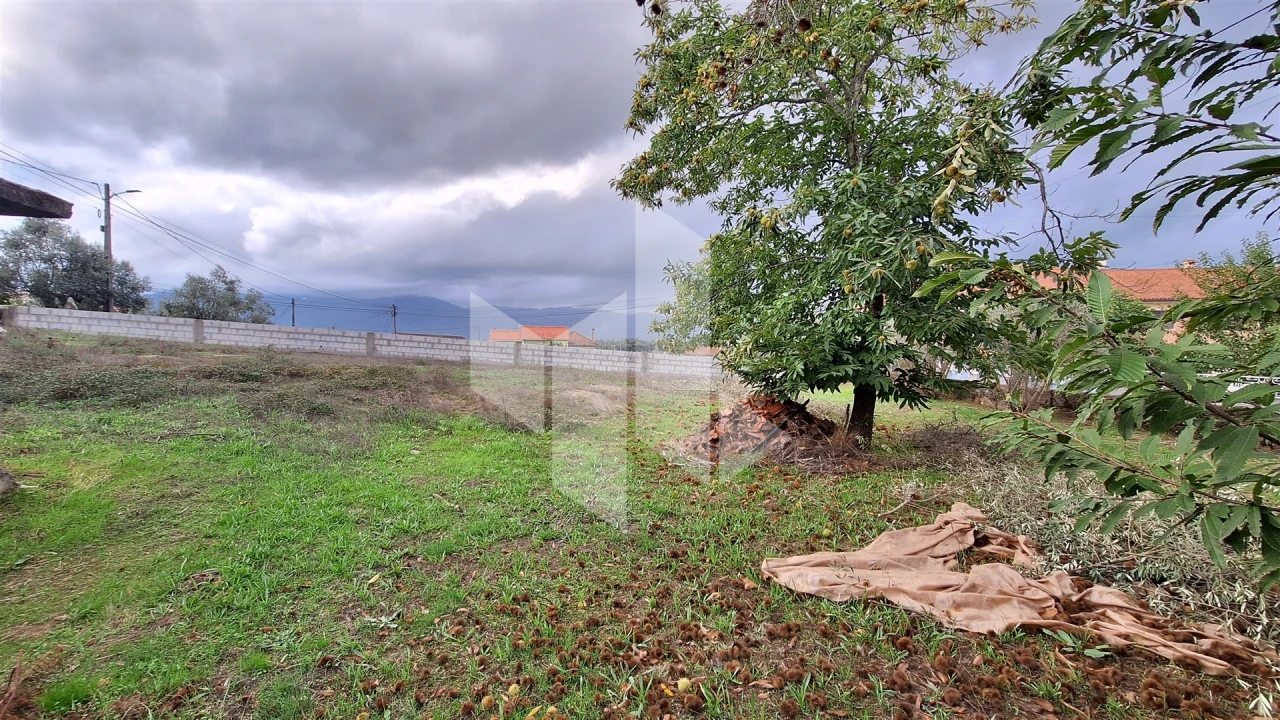 Moradia T0 para Venda em Molelos Foto 11