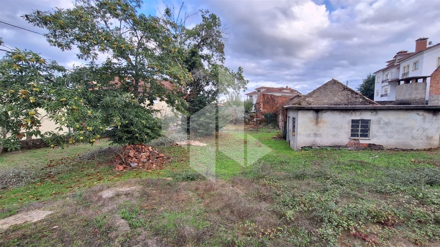 Moradia T0 para Venda em Molelos Foto 8