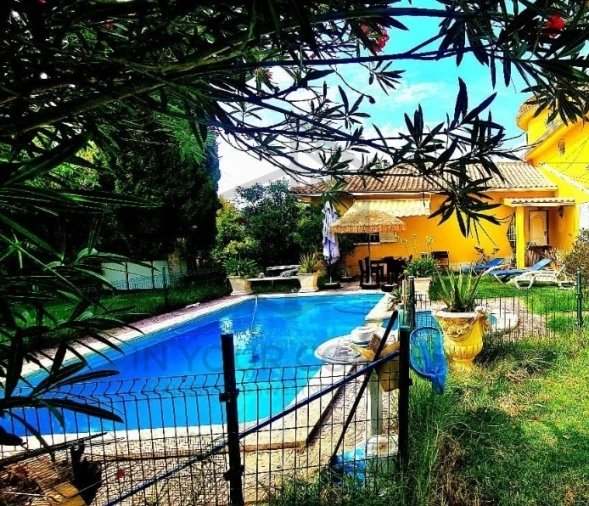 Moradia T2 para Arrendamento em Azeitão (São Lourenço e São Simão) Foto 17