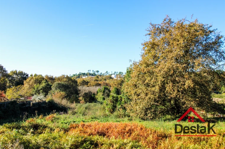 Terreno para Venda em Orgens Foto 5