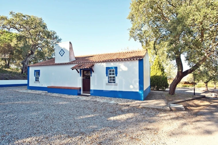 Quinta T7 para Venda em Santo Andre Foto 7